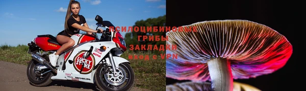 jwh Бородино