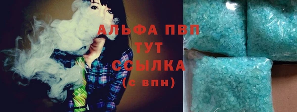 прущие грибы Белокуриха
