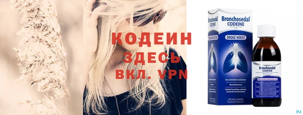 прущие грибы Белокуриха