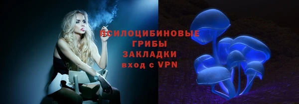 apvp Бугульма
