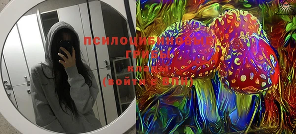 jwh Бородино