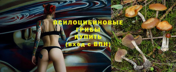 apvp Бугульма