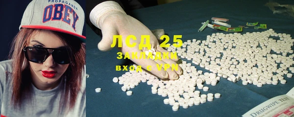 прущие грибы Белокуриха