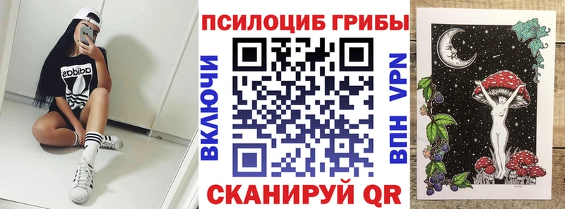где купить наркоту  Свободный  darknet какой сайт  Псилоцибиновые грибы Psilocybe 